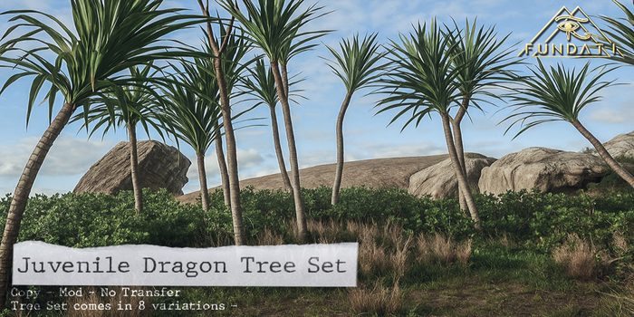 ( Fundati ) Young Dragon Tree Set