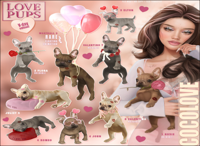 07 COCOLOVE / Lovepups [Valentino]