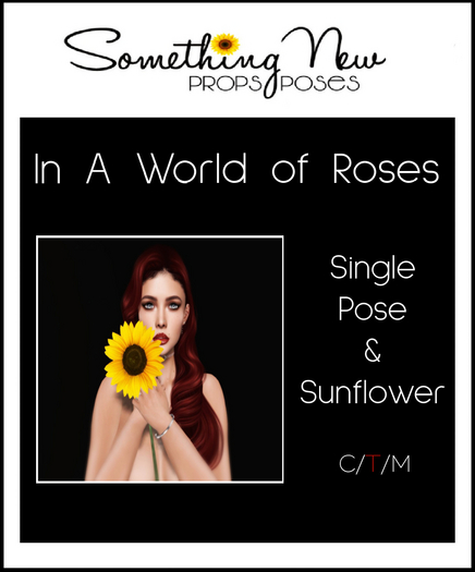 **SN~ In A World of Roses