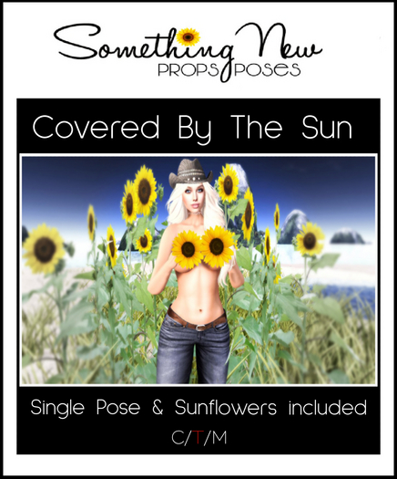 **SN~ Covered by the Sun