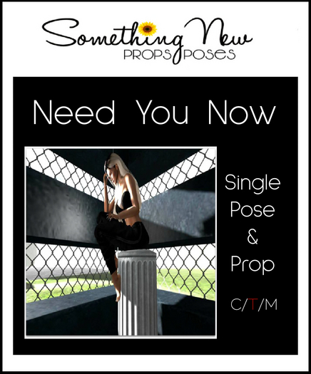 **SN~ Need You Now