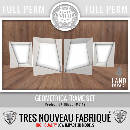 Geometrica Picture / Mirror Frame Set * Full Perm FM0142