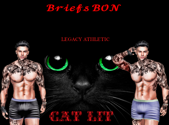 CAT LIT_Underpants Bon FATPACK