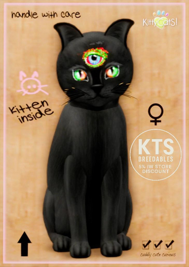 KittyCatS Box - Russian - Black - Blinking Garden (Shape: Mysterious | Pupil: Small)