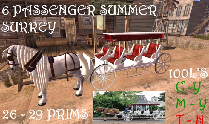 6 Passenger Summer Surrey Boxed