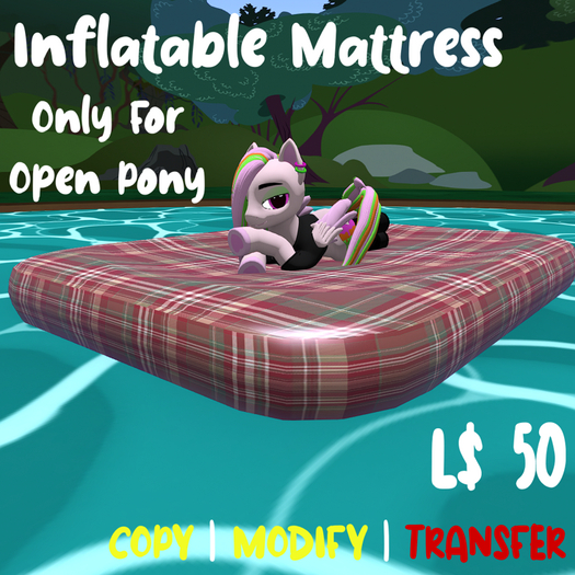 {AR's} Inflatable Mattress