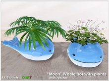 *Moon*Whale pot with plants