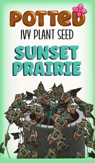 Potted: Ivy Seed: Sunset Prairie