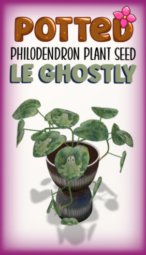 Potted: Philodendron Seed: LE Ghostly