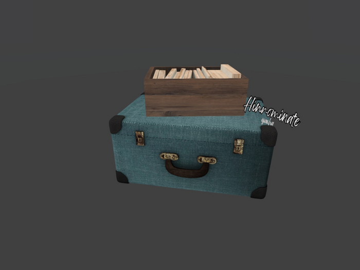 Concept} 02. Escape. Suit case + books