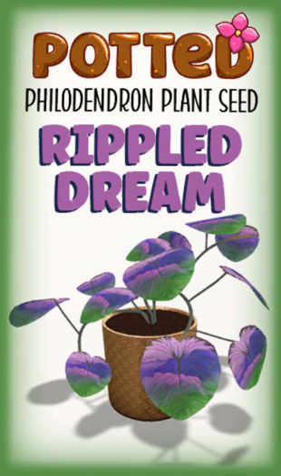 Potted: Philodendron Seed: Rippled Dream