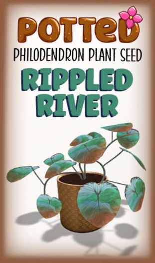 Potted: Philodendron Seed: Rippled River