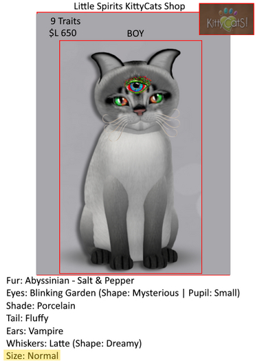 Abyssinian 9T Blinking Garden