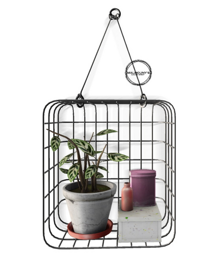 ionic : Mi plantita