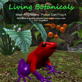 Inochi Botanicals - Poison Dart Frog A