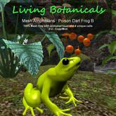 Inochi Botanicals - Poison Dart Frog B