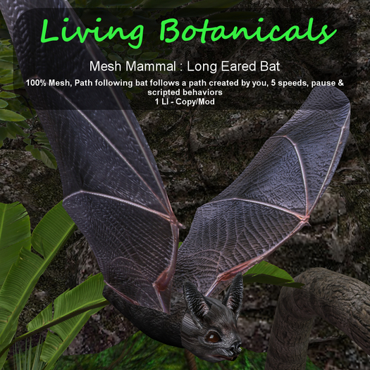 Inochi Botanicals - Long Eared Bat