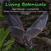 Inochi Botanicals - Long Eared Bat