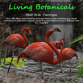 Inochi Botanicals - Flamingos