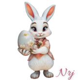 NRJ- Easter Rabbit 5