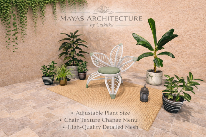 Mayas | Chair | Plant | Rug| Lantern