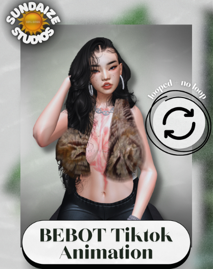 SUNDAIZE STUDIOS: BEBOT TIKTOK ANIMATION