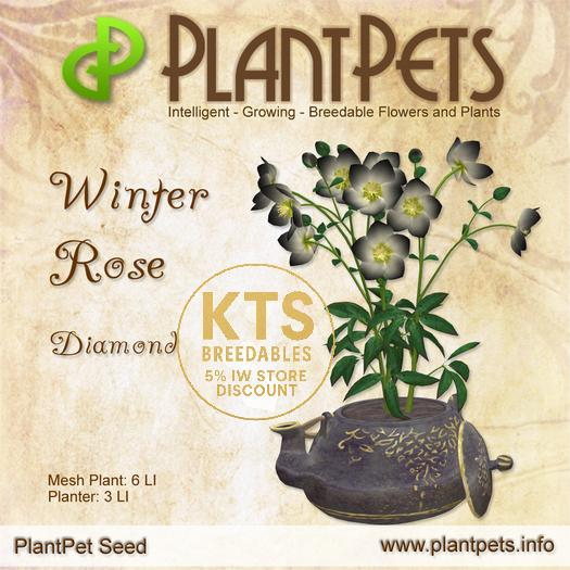 PlantPet Seed [Winter Rose *Diamond*] RARE