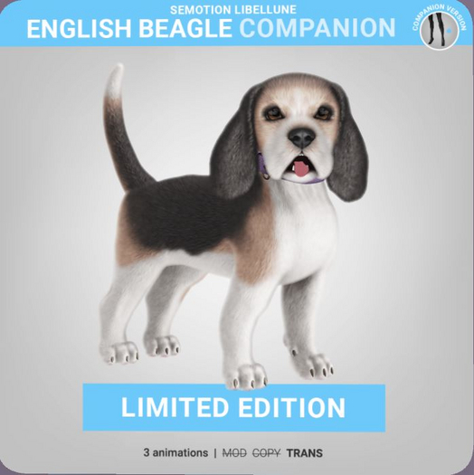SEmotion Libellune English Beagle Companion LIMITED