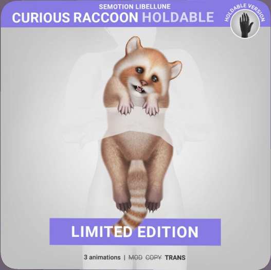SEmotion Libellune Curious Raccoon Holdable LIMITED