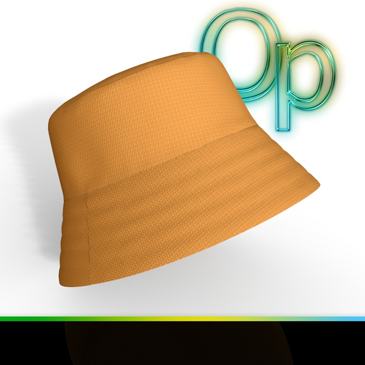 Hat Accessory Modify