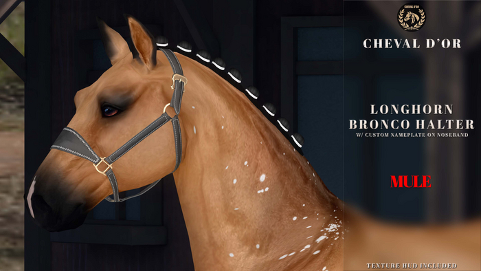Cheval D'or / Teeglepet Mule / Longhorn Bronco Halter