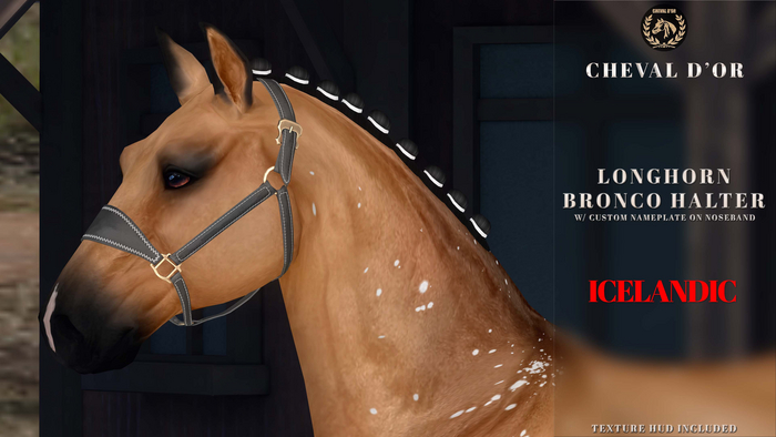Cheval D'or / Teeglepet Icelandic / Longhorn Bronco Halter