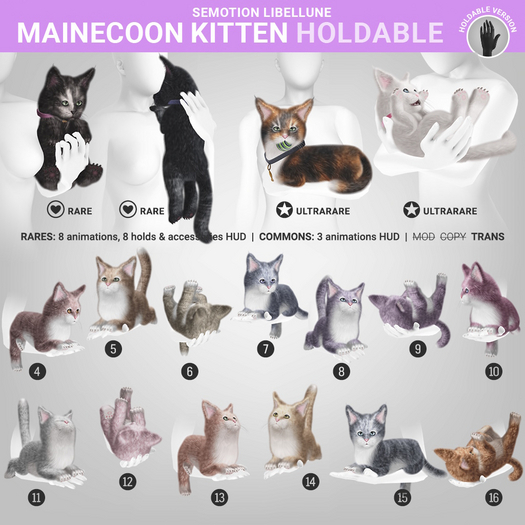 SEmotion Libellune Mainecoon Kitten Holdable COMMON 13