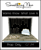 **SN~ I Wanna Know What Love Is