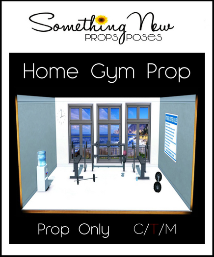 **SN~ Home Gym Prop