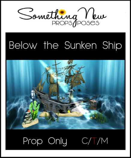 **SN~ Below the Sunken Ship