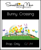 **SN~  Bunny Crossing Prop