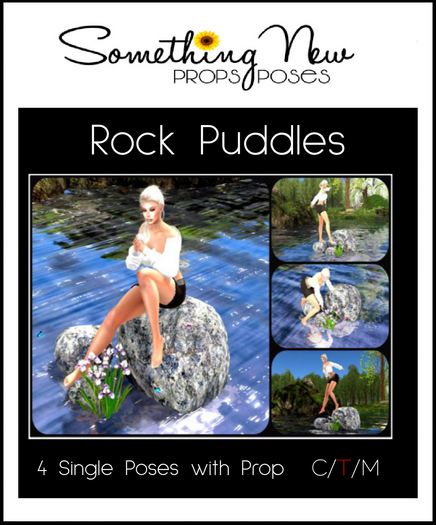 **SN~ Rock Puddles 