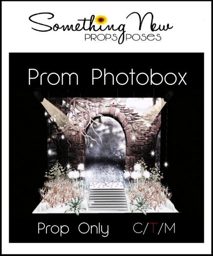 **SN~ Prom Photobox
