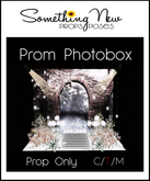 **SN~ Prom Photobox