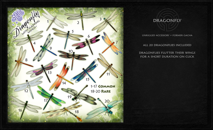 ::Static:: Dragonfly MEGAPACK