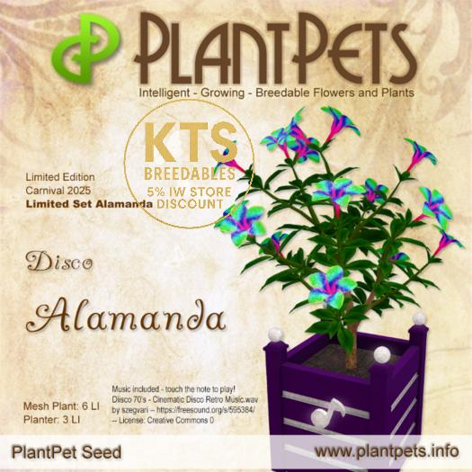 PlantPet Seed [Alamanda *Disco*] LIMITED EDITION - Carnival 2025