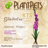 PlantPet Seed [Gladiolus *Ethereal Solstice*] ULTRA Limited Edition ! - Relase Date12/23/2024