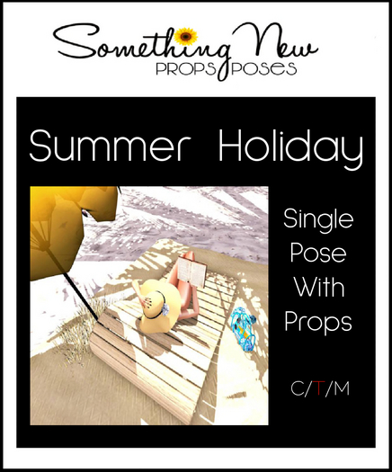 **SN~ Summer Holiday