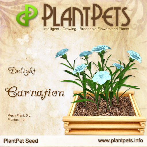 PlantPet Seed [Carnation *Delight*]