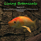 Inochi Botanicals - Mesh Fish "Koi E"