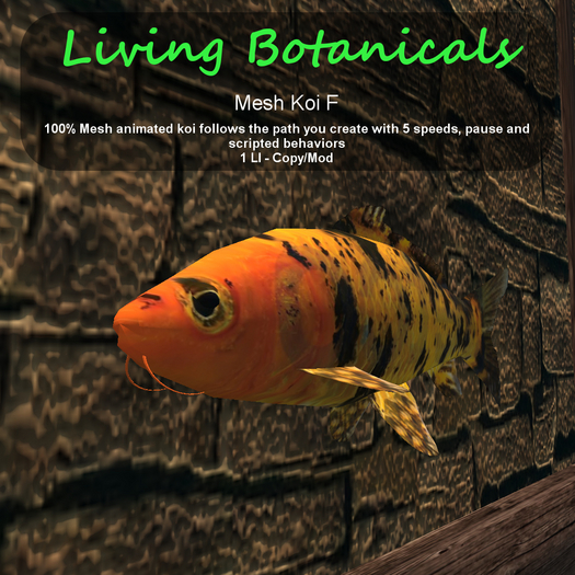 Inochi Botanicals - Mesh Fish "Koi F"