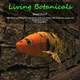 Inochi Botanicals - Mesh Fish "Koi F"