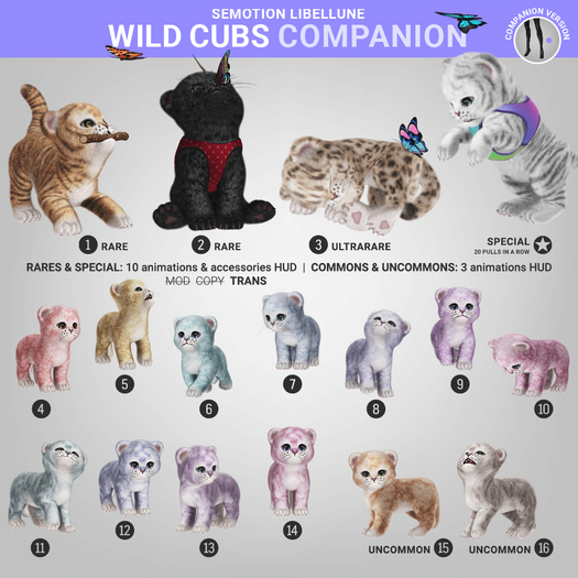 SEmotion Libellune Wild Cubs Companion RARE 02