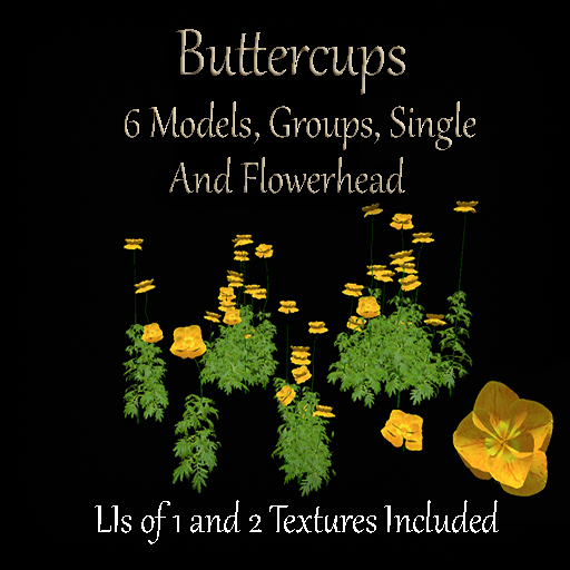 Full Perm Buttercup Flowers